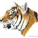 색연필 일러스트 이미지