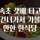 속초갯배 티스토리