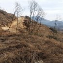 (주)산지 이미지