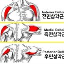 에스오그룹