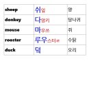 방주농장 이미지