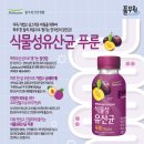 민들레 포차 이미지