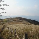 은수농장 2 이미지