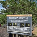 햇빛부서지는바다 | 제주 서귀포 용머리해안 입장시간 유래 설명 관람후기