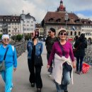 같이삽시다 이미지