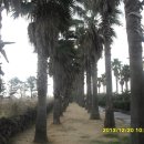 대평공원 이미지