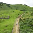 달리오름 이미지