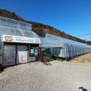 킴스베리 이미지