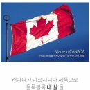 에이스바디