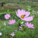 길마행정사 사무소 이미지