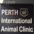 퍼스동물병원 이미지