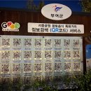 서동공원 향토음식특화거리 이미지