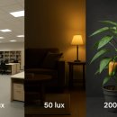 달빛2 태양광 이미지