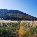 다랑쉬민박 이미지