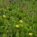 오목천역 3번출구 이미지