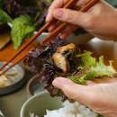홍삼민물장어