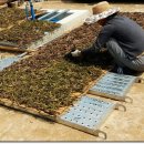 고운농장 이미지