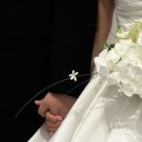 Noi | W19 | 노이스냅(noi snap) 촬영후기, 본식후기, 대구아이폰스냅