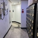 크로스핏 사상 빡짐 이미지