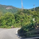 서대리농장 이미지