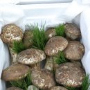 재미만점 이미지