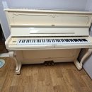 동성체육관 이미지