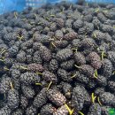 일화농장 이미지