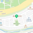 디디펫 수원강아지분양 이미지