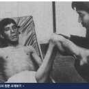 한국, 고엽제 문제 삼다 - 베트남 전쟁 종결 17년 만에.. 이미지