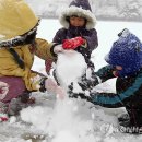 대관령초등학교 이미지