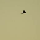 명지슈퍼 이미지