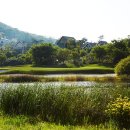 블루원CC (대중제) 이미지