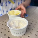 (주)골드오션 | [공지] 강원도 쏠비치 삼척 오션뷰 노블리안 골드 스위트 후기 가족 여행에 딱 좋은 이유