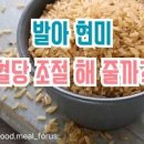 발아현미 현미 효능 차이 당류 열량 살펴보기 이미지