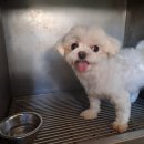 씨유 금왕두진점 이미지