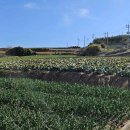 섬도마을회관 이미지