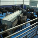 지암흑염소목장 이미지