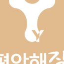 솔빈약국 이미지