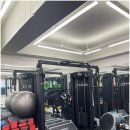 피지오숲 이미지