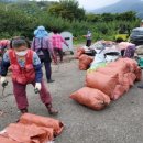 신황마을 이미지