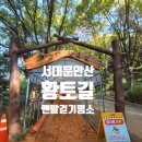 황토길 Daum카페