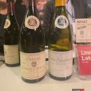 제임스4 | 2025 제임스 서클링 시음회 Great wines world, Seoul 후기