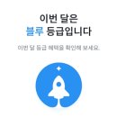 비트스플릿 16일 사용 후기