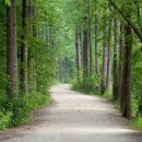 삼성튼튼의원 이미지