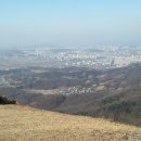 업힐 Daum카페
