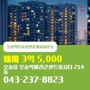 오송역센트럴공인중개사사무소 | 오송역투유공인중개사사무소 매물 오송역파라곤센트럴시티 214동 매매 3억 5,000