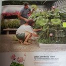 Homes&Garden