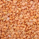 레드참치 이미지