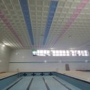 팔마수영장 이미지