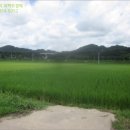 공검면 역곡리 이미지